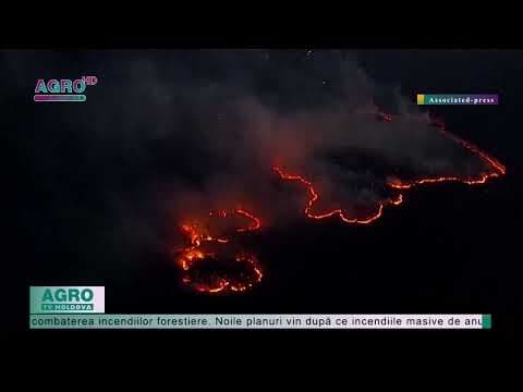 Grecia se pregătește pentru incendiile de pădure