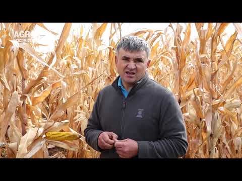 Baștina din 06.10.2019
