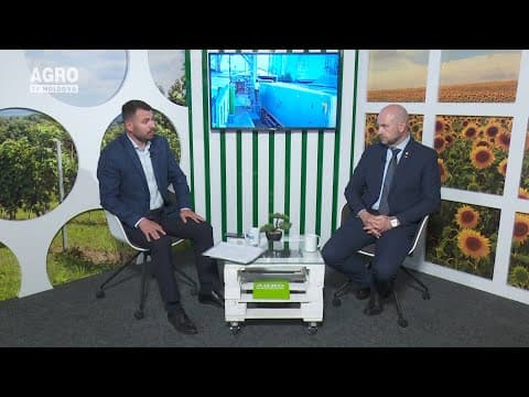 Verde-n ochi: Cineva exportă grâul din rezerva de stat, iar cineva ridică prețul la pâine