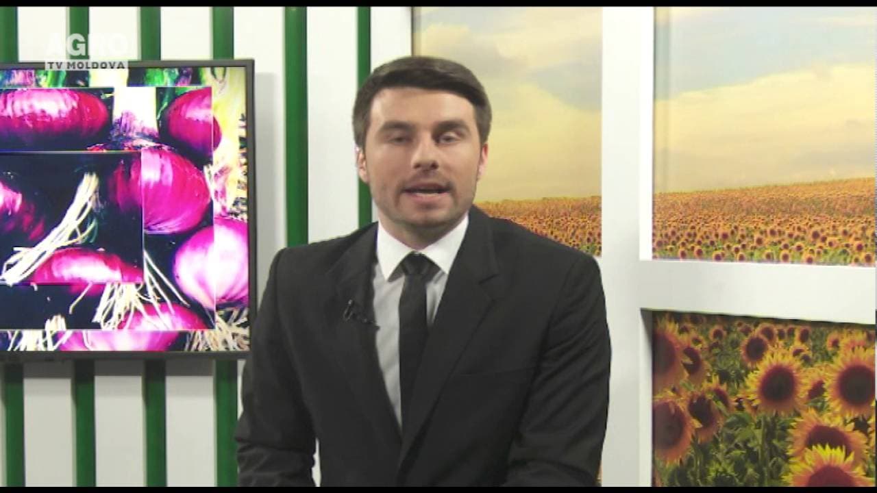 Cum să evităm procurarea produselor neconforme pentru sărbătorile pascale. INVITAT: Eugeniu Straistă, inspector principal în cadrul Direcției municipale pentru siguranța alimentelor