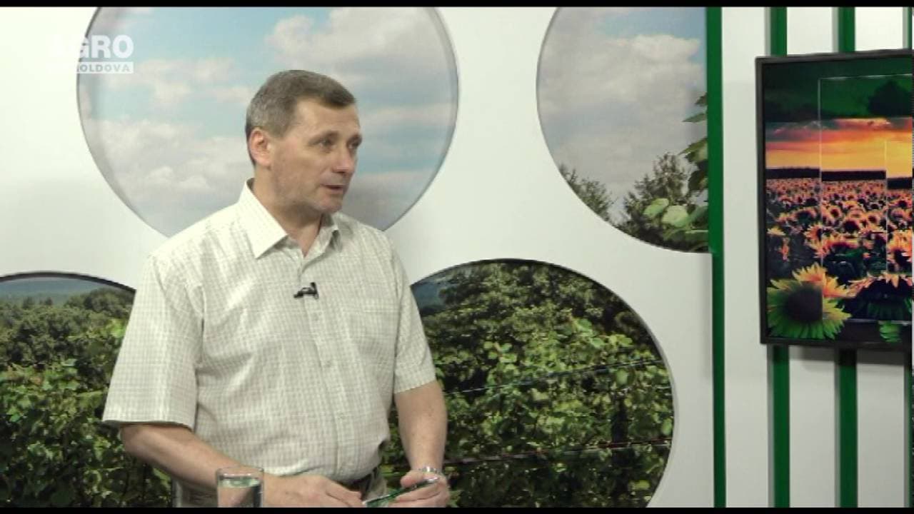Schimbările climatice – o provocare pentru Moldova. INVITAT: Ion Talmaci, vicedirectorul tehnic al Institutului de Cercetări și Amenajări Silvice