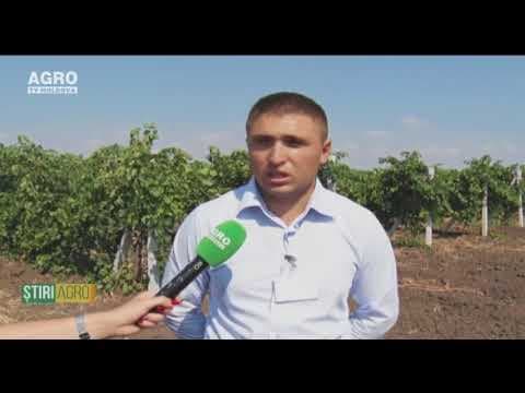Ia Atitudine cu Maria Vidrașco și Vasile Luca