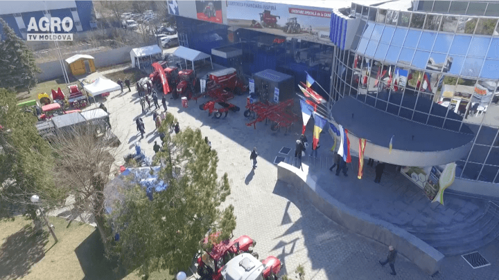 Baștina din 17.03.2019
