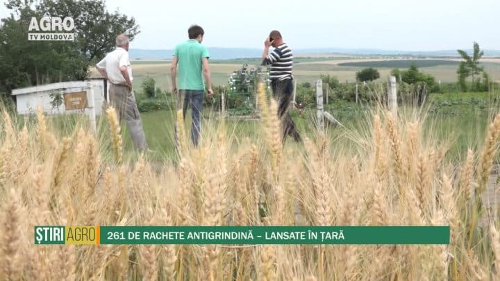 261 de rachete antigrindină – lansate în țară