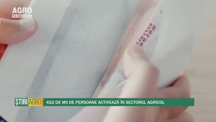 452 de mii de persoane activează în sectorul agricol