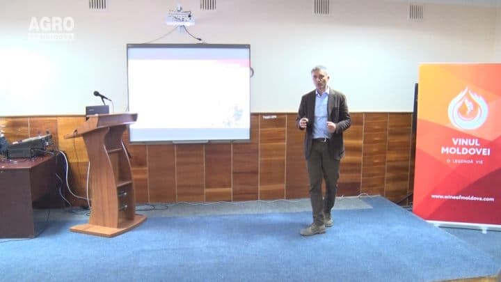Tăierea viței de vie în condițiile anului 2018