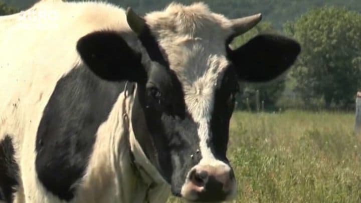ABC-ul Fermierului. Agricultura competitivă