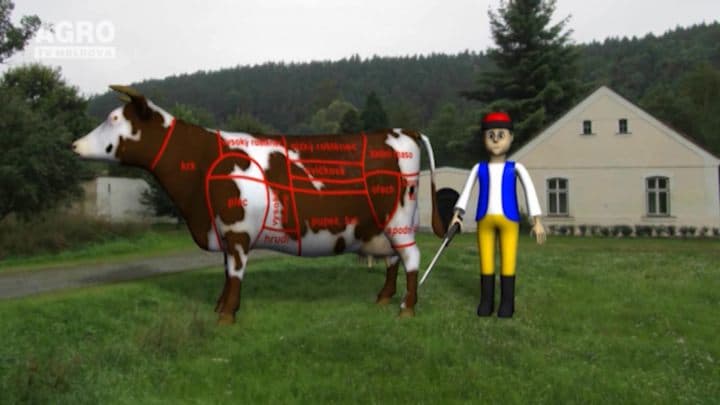 ABC-ul Fermierului. Agricultura competitivă