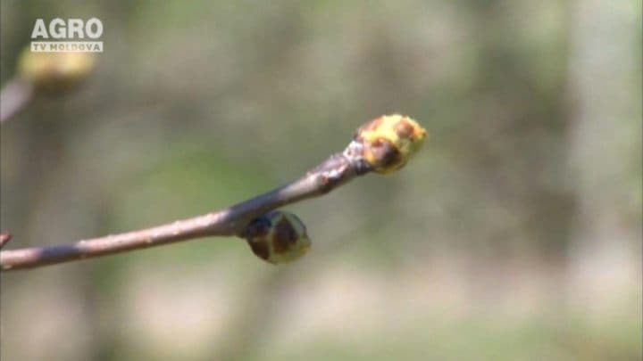 ABC-ul Fermierului. Agricultura competitivă