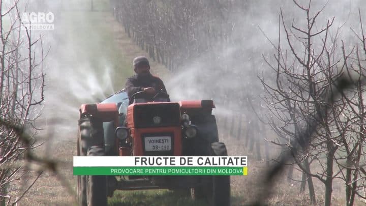 Forumul Syngenta pentru pomicultură