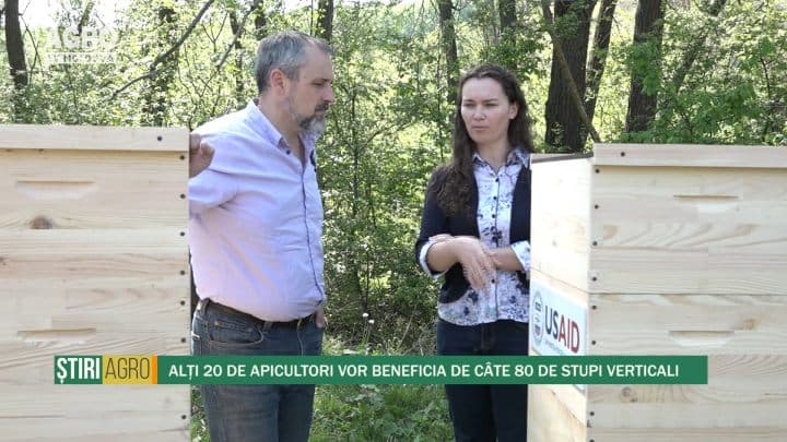 Alți 20 de apicultori vor beneficia de câte 80 de stupi verticali