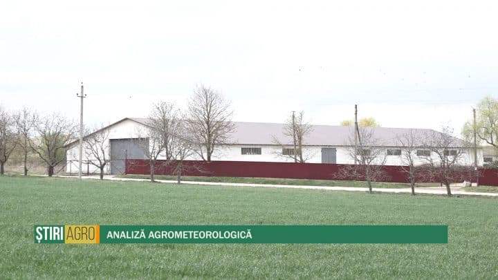 Analiză agrometeorologică