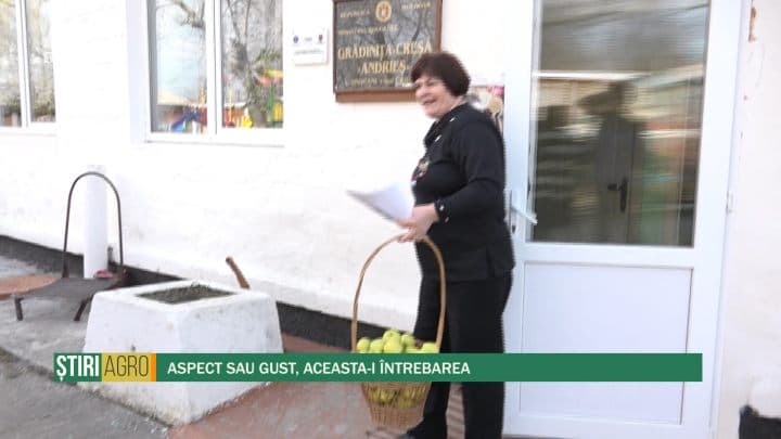 Aspect sau gust, aceasta-i întrebarea