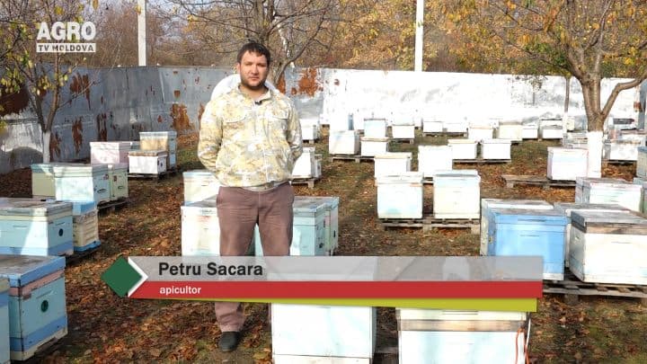 Baștina din 18.11.2018