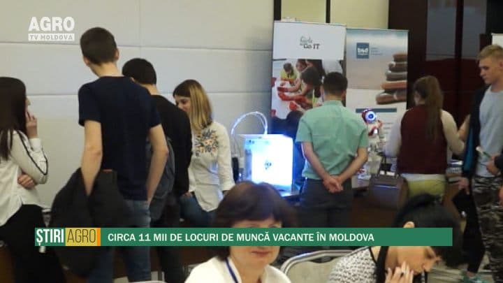 Circa 11 mii de locuri de muncă vacante în Moldova
