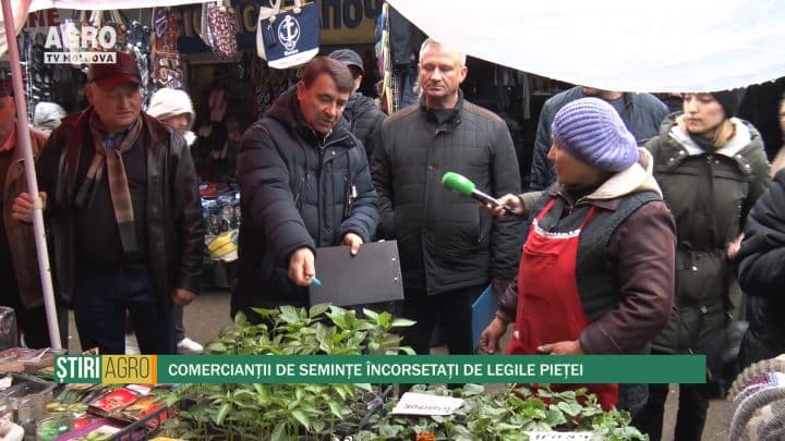 Comercianții de semințe încorsetați de legile pieței