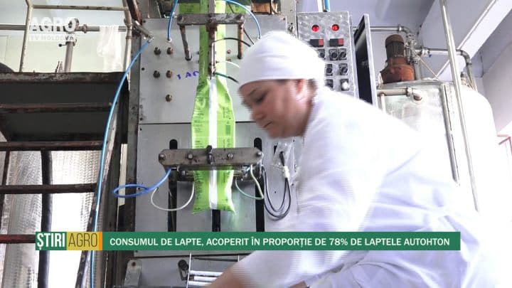 Consumul de lapte, acoperit în proporție de 78% de laptele autohton