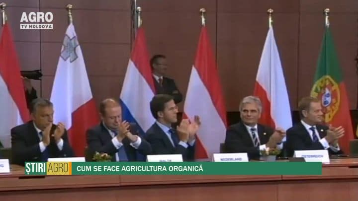 Cum se face agricultura organică