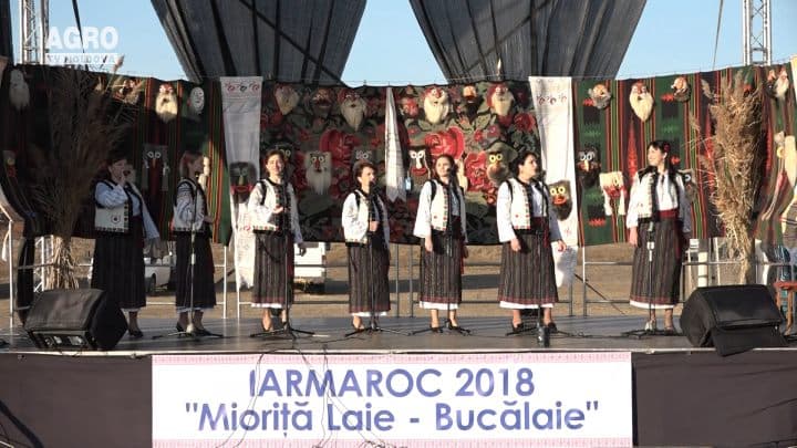 Festivalul “Laie Bucălaie”, a II-a ediție, Partea 2