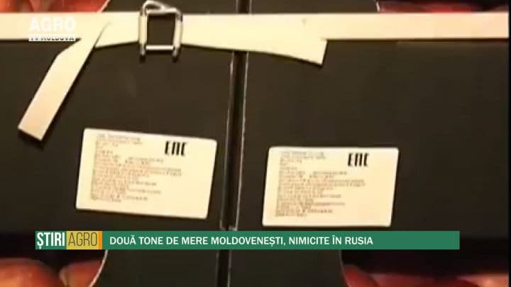 Două tone de mere moldovenești, nimicite în Rusia