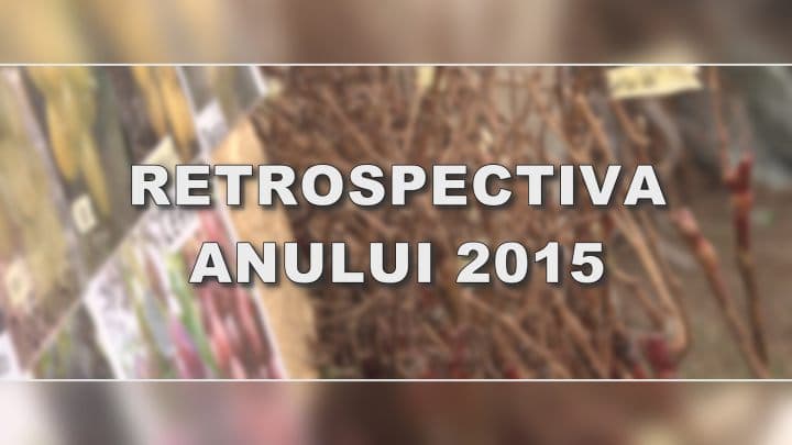 Retrospectiva anului 2015
