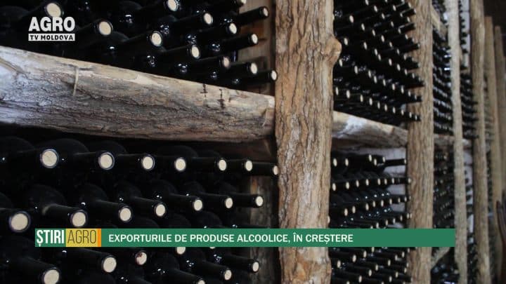 Exporturile de produse alcoolice, în creștere