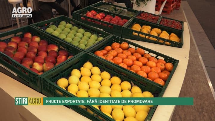 Fructe exportate, fără identitate de promovare