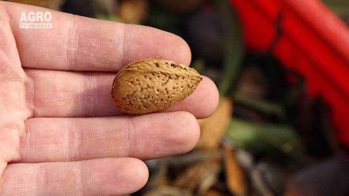 Afacere prosperă și performanță în agricultura ecologică cu Igor Golban