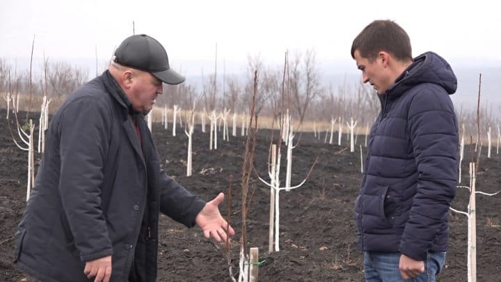 Gospodarii Moldovei 13 Decembrie 2015