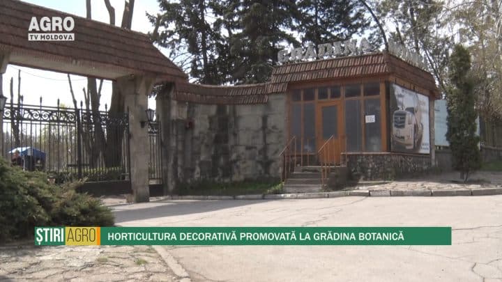 Horticultura decorativă promovată la Grădina Botanică