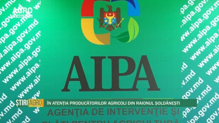 În atenția producătorilor agricoli din raionul Șoldănești