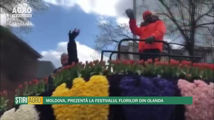 Moldova, prezentă la Festivalul florilor din Olanda