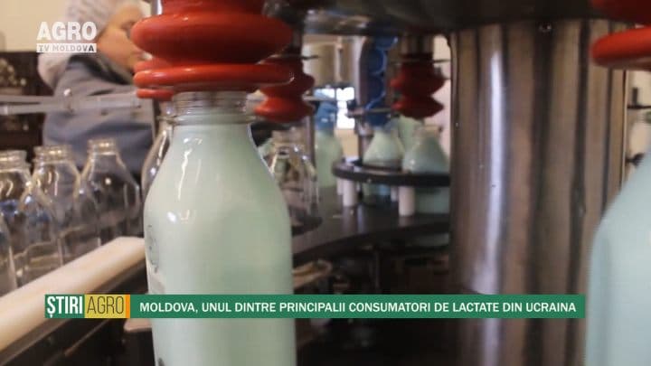 Moldova, unul dintre principalii consumatori de lactate din Ucraina