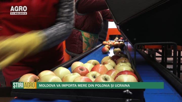 Moldova va importa mere din Polonia și Ucraina