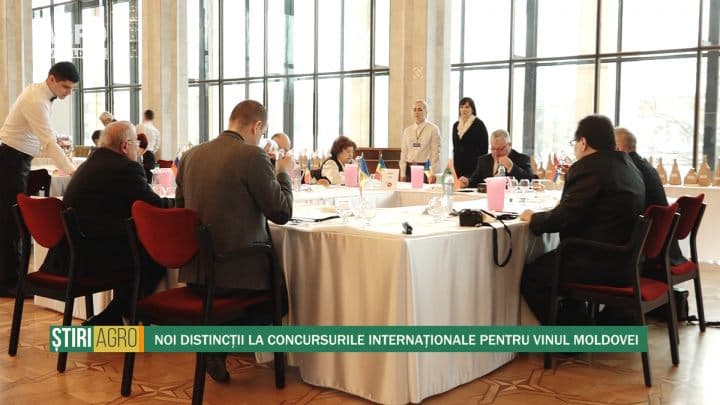 Noi distincții la concursurile internaționale pentru Vinul Moldovei