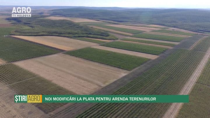 Noi modificări la plata pentru arenda terenurilor