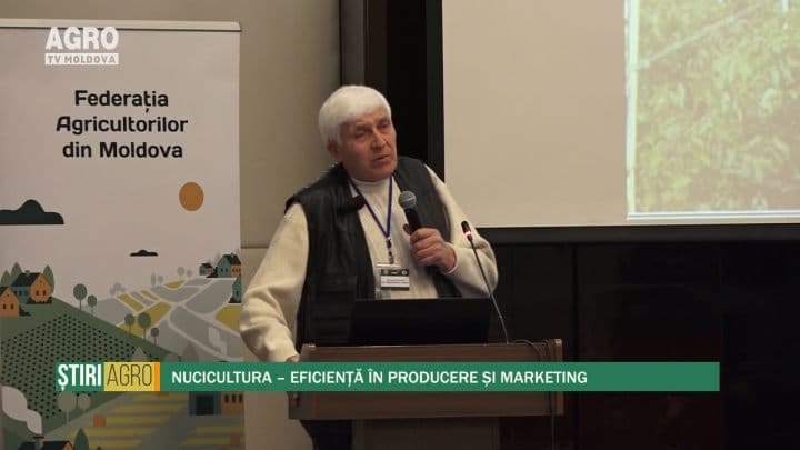 Nucicultura – Eficiență în producere și marketing