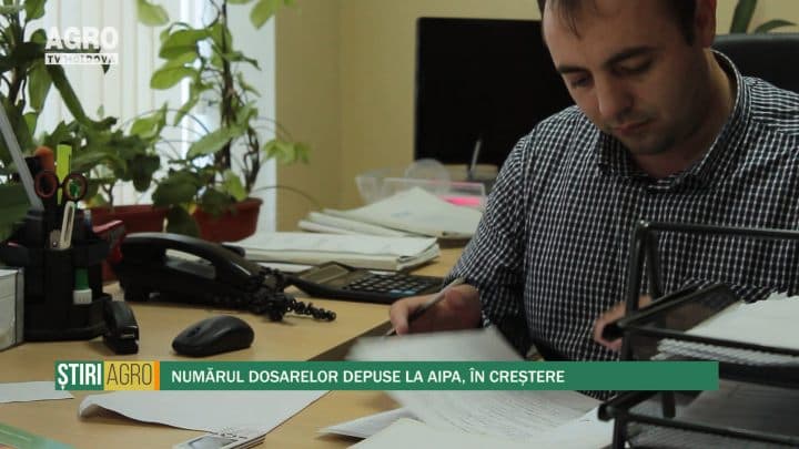 Numărul dosarelor depuse la AIPA, în creștere