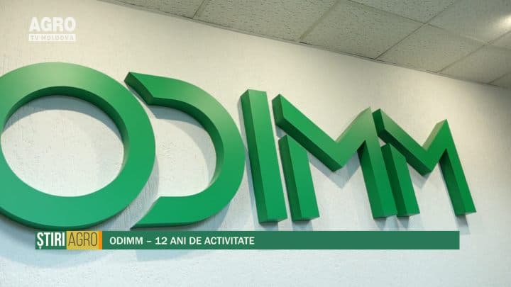 ODIMM – 12 ani de activitate