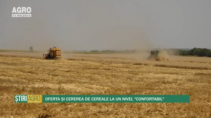 Oferta și cererea de cereale la un nivel "confortabil"