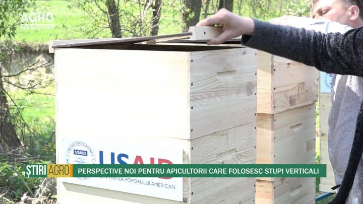 Perspective noi pentru apicultorii care folosesc stupi verticali