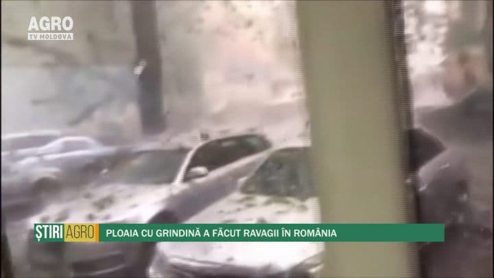 Ploaia cu grindină a făcut ravagii în România