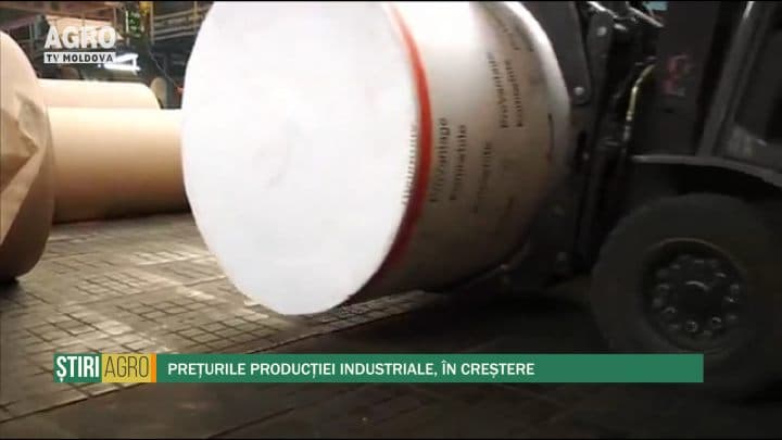 Prețurile producției industriale, în creștere