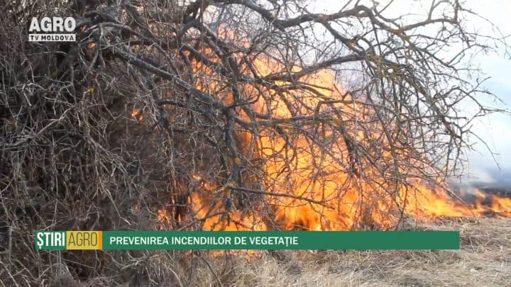 Prevenirea incendiilor de vegetaţie