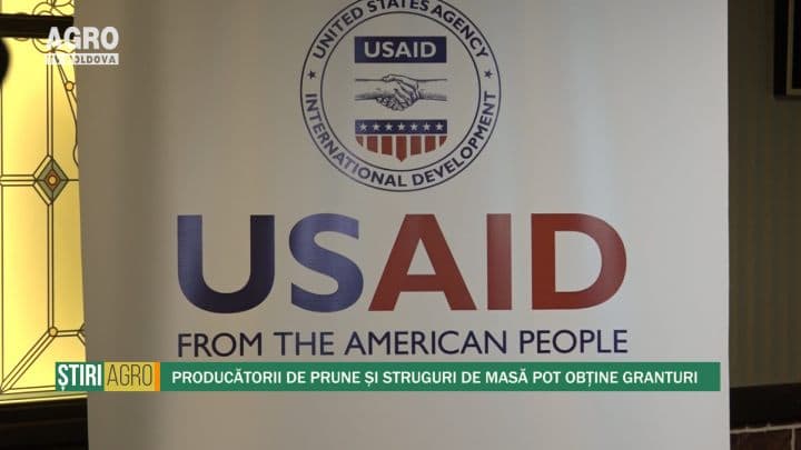 Producătorii de prune și struguri de masă pot obține granturi