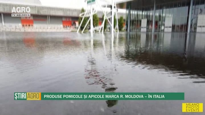 Produse pomicole și apicole marca R. Moldova – în Italia