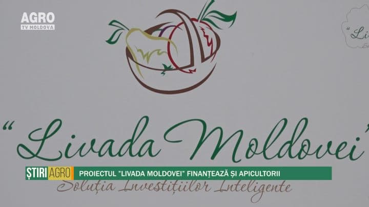 Proiectul ”Livada Moldovei” finanțează și apicultorii