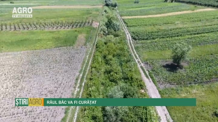 Râul Bâc va fi curățat