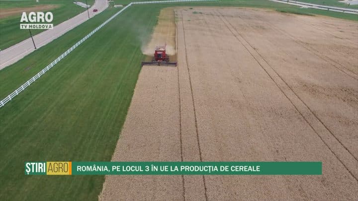 România, pe locul 3 în UE la producţia de cereale