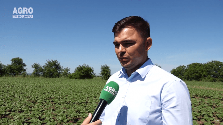 DiazTech companie cu tehnologii avansate, posibilități nelimitate!